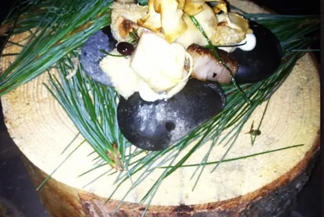 The Matsutake course - "careful touching the tree trunk. there's a lot of sap."